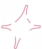 ASF_12_logo-3